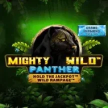 Mighty Wild Panther